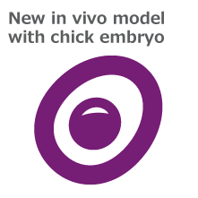 鶏胚を用いたin vivoモデル