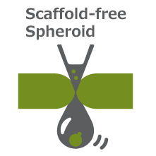 Scaffold free 3次元培養細胞製品