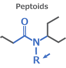 ペプトイドとN-アルキル化ペプチド