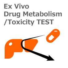 Ex Vivo薬剤代謝/毒性試験