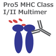 Pro5 MHC Class I/IIマルチマー