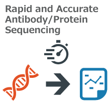抗体/タンパク質配列解析