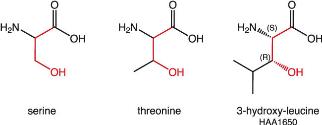 ペプチドミメティックや創薬化学用アミノ酸類縁体