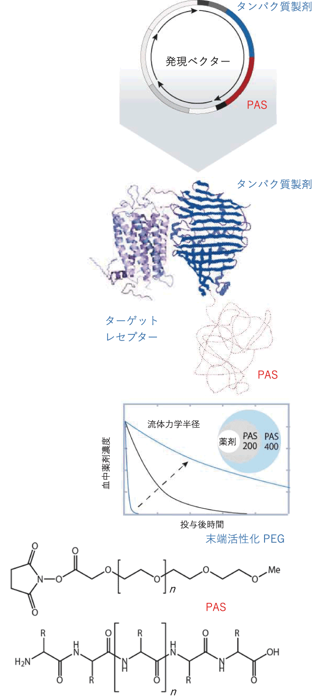 遺伝子組み換えによる新たな手法